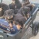 Rottweiler puppies ready October 12, 2025.