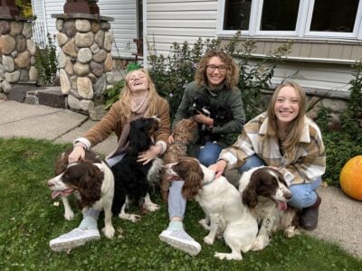 Springerdoodle puppies ready for your fami &nbsp;...