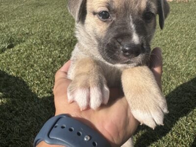 Looking for a good home 🏡